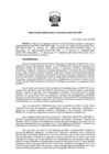 Vista preliminar de documento RD-004-2025-CONCYTEC-DPP