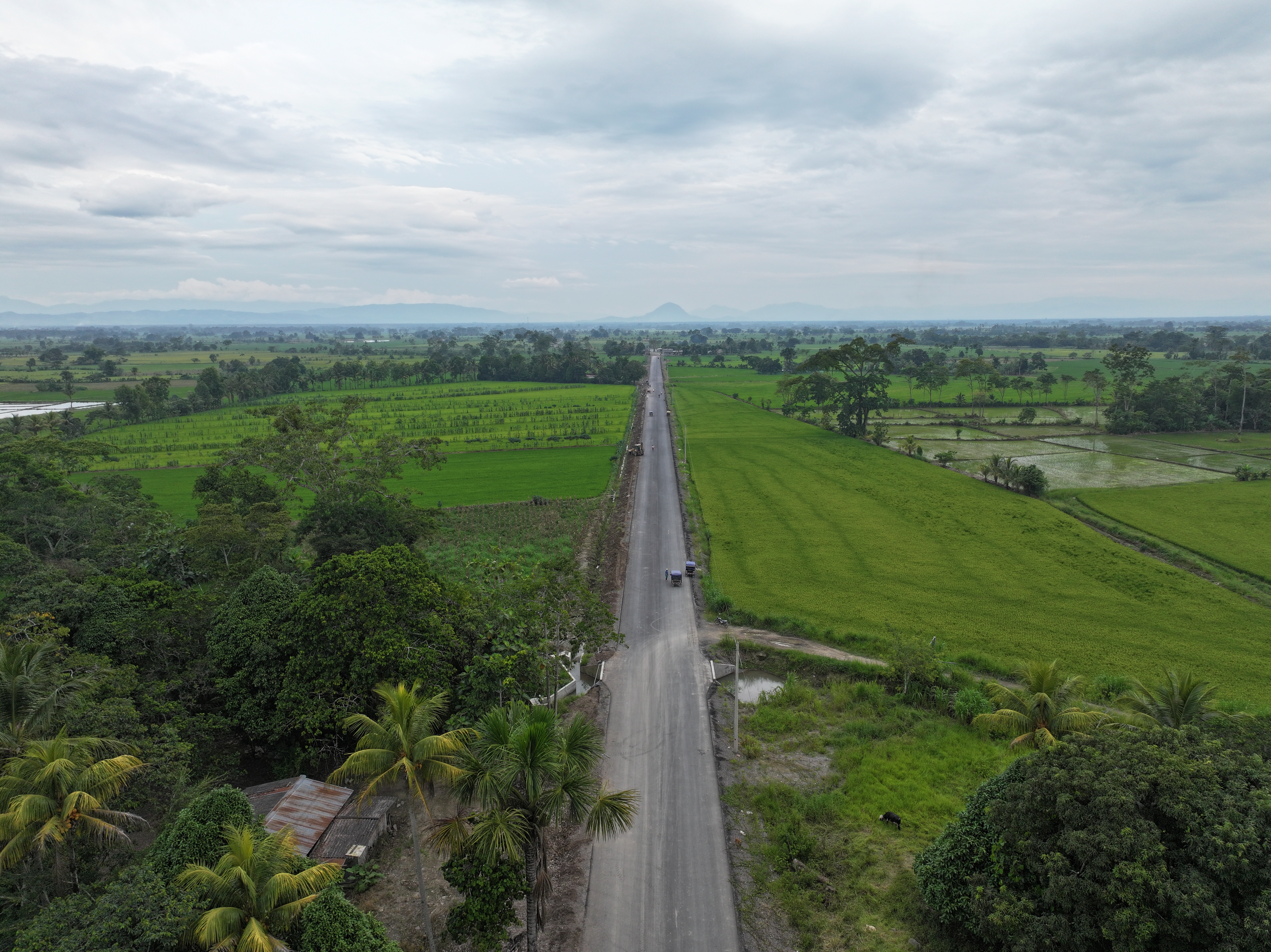 carretera Nueva Cajamarca-San Fernando-Yuracyacu