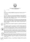 Vista preliminar de documento -2414300255049425560