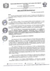 Vista preliminar de documento RESOLUCIÓN N°009-2024-UNATEFSIL-P