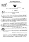Vista preliminar de documento RDR 10240-2024