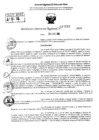 Vista preliminar de documento RDR 10241-2024