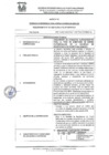Vista preliminar de documento REQUERIMIENTO Nº 001-2025-G.G.G.A.F.OLCP-SBPM-MDD