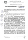 Vista preliminar de documento RDR 428-2024