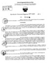 Vista preliminar de documento RDR 10242-2024