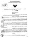 Vista preliminar de documento RDR 10243-2024