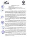 Vista preliminar de documento ordenanza 262-24