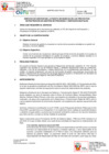 Vista preliminar de documento TDR 271