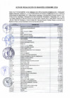 Vista preliminar de documento Acta De Recaudación De Ingresos Diciembre 2024