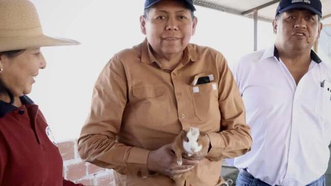 La Municipalidad Provincial Mariscal Nieto a través del programa PROCOMPITE, mediante el proyecto denominado; “Mejoramiento de la Producción y Productividad de la Crianza de Cuyes en la Asociación de Productores Agropecuarios de Granito de Arena – Moquegua”.