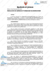 Vista preliminar de documento Plan Operativo Institucional – POI 2024 Actualizado Versión 2