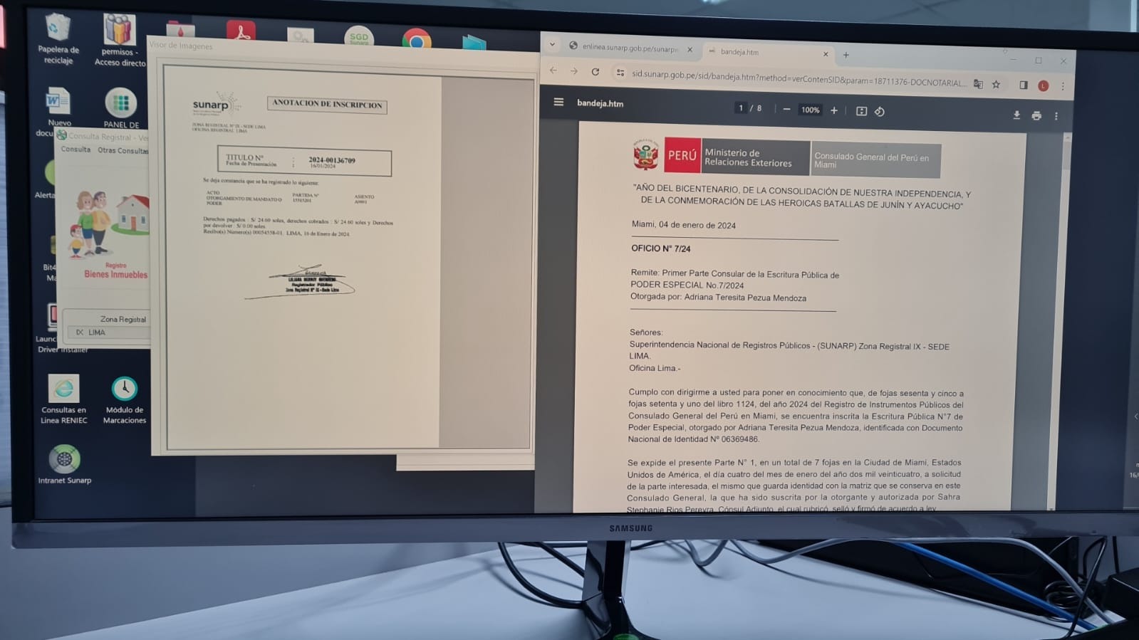 Foto de Pantalla de monitor de PC muestra documento de poder consular