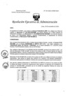 Vista preliminar de documento REA N° 195-OEA-INMP-2024