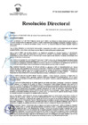 Vista preliminar de documento RD Nº 02-2025-DG-INSM