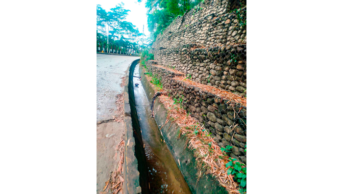 Descolmataci贸n, limpieza de cunetas y drenajes pluviales en el ciudad de Tarapoto.