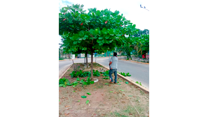 Continuamos trabajando en la ciudad de Tarapoto.