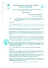Vista preliminar de documento Resolución Nº 307-2024-UNTUMBES-R
