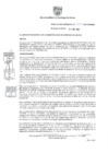 Vista preliminar de documento Resolución Nº 0010-2025-GM-MSS