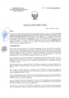 Vista preliminar de documento RD-0170-2025-DSAIA-DIRIS-LE-MINSA