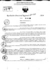 Vista preliminar de documento RDR 10247-2024