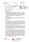 Vista preliminar de documento TDR - 349