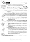 Vista preliminar de documento RDR 10253-2024