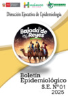 Vista preliminar de documento Boletin -01-2025 V7