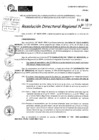 Vista preliminar de documento RDR 10257-2024