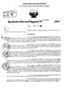Vista preliminar de documento RDR 10270-2024