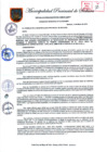 Vista preliminar de documento Archivo PDF ORDENANZA MUNICIPAL 010-2016-MPS