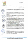 Vista preliminar de documento RA-029-2025-MPHH