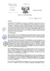 Vista preliminar de documento RD-248-2024-DG-INCN