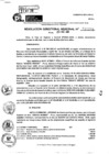 Vista preliminar de documento RDR 10255-2024