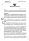Vista preliminar de documento R.D. 0011-2025-DMID-DIRIS- LE-MINSA