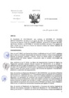 Vista preliminar de documento RD-254-2024-DG-INCN