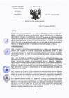 Vista preliminar de documento RD-256-2024-DG-INCN