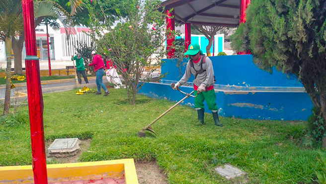 Personal de áreas verdes continúan con trabajos