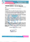 Vista preliminar de documento RESOLUCION GERENCIAL N° 003-2025
