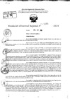 Vista preliminar de documento RDR 10273-2024