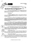 Vista preliminar de documento RDR 10275-2024
