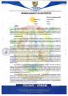 Vista preliminar de documento rgm652