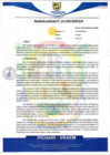 Vista preliminar de documento rgm651