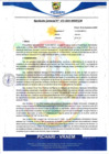 Vista preliminar de documento rgm653