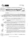 Vista preliminar de documento RDR 10283-2024