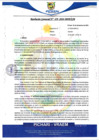 Vista preliminar de documento rgm659