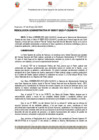 Vista preliminar de documento 17