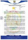 Vista preliminar de documento rgm662