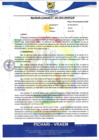 Vista preliminar de documento rgm663