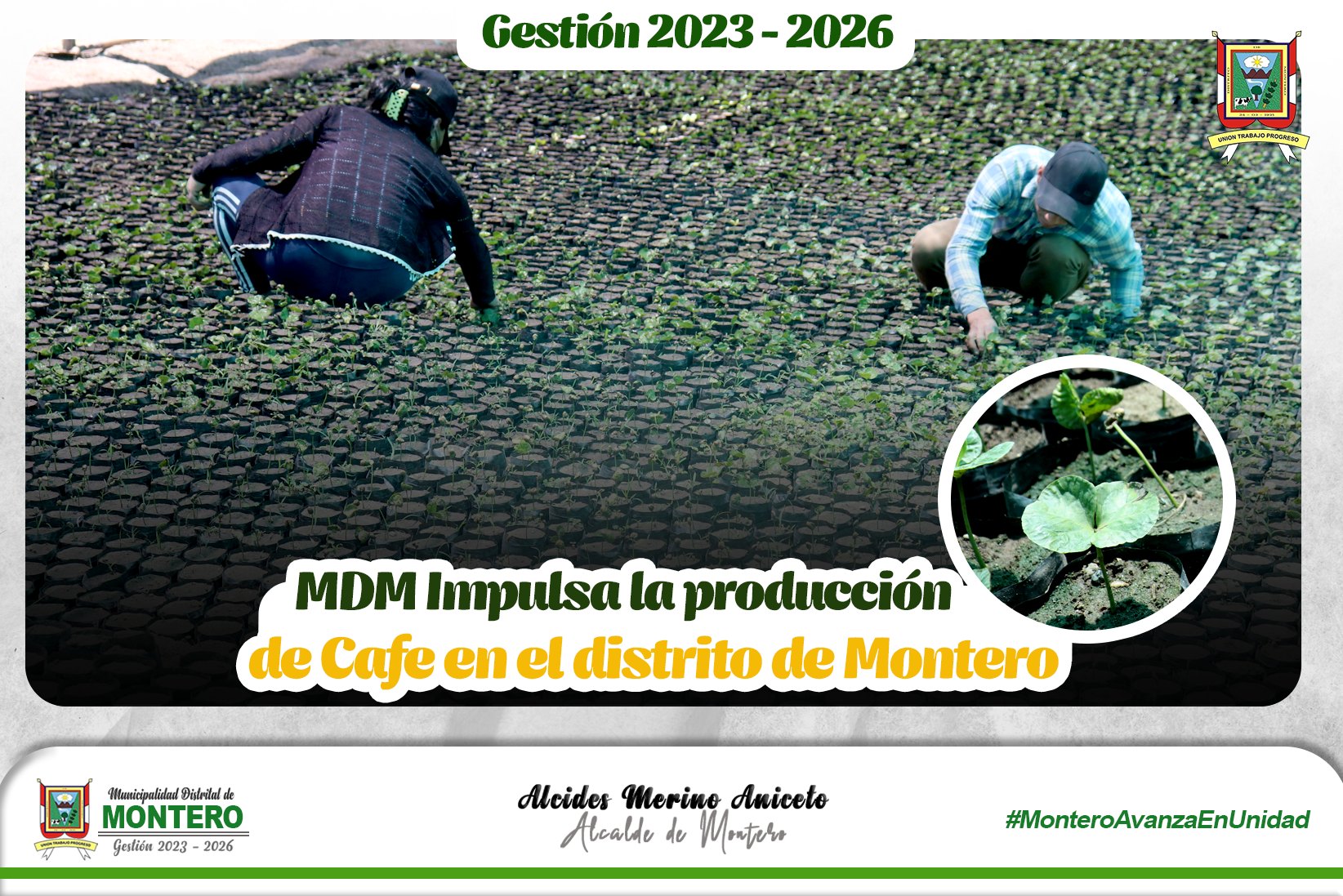 𝐌𝐃𝐌 Impulsa la Producción de Café en el Distrito de Montero