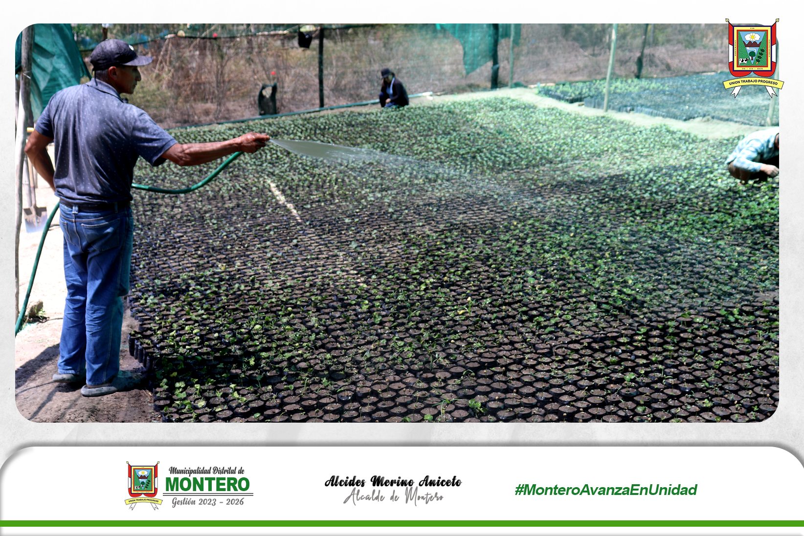 𝐌𝐃𝐌 Impulsa la Producción de Café en el Distrito de Montero